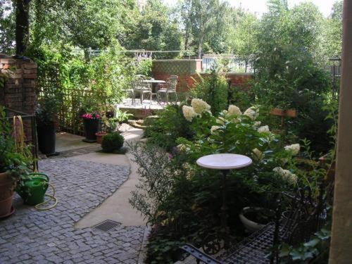 City-Oase Dresde Exterior foto